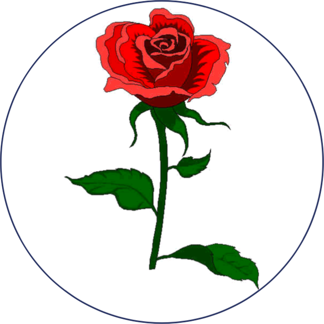 Rose representing culture of life program